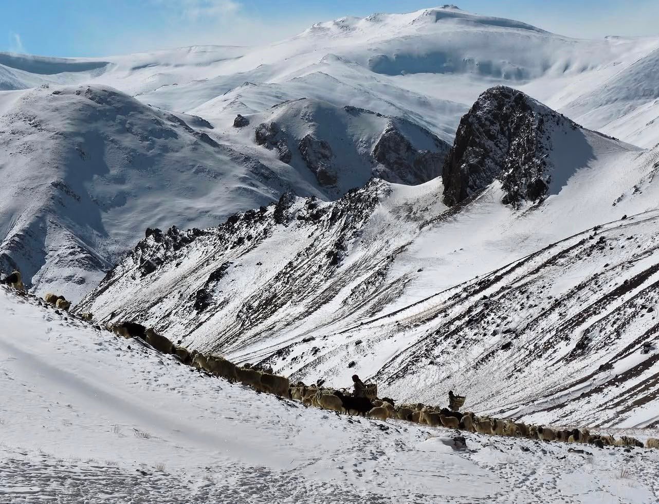 Himalayan Landscape Conservation